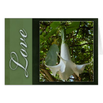 White flower love cards