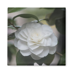 White Flower magnet