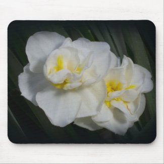 White Flower zazzle_mousepad