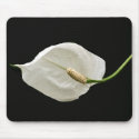 White flower mousepads
