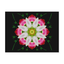 White Flower Notes Card postcards by wingedturtle White Flower Notes Card postcards