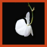 tiny poster print, desk art, floral, floral