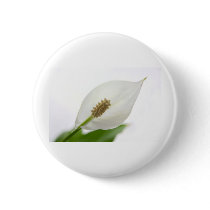 white flower pins
