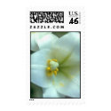 White Flower postage