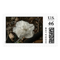 White flower. stamps