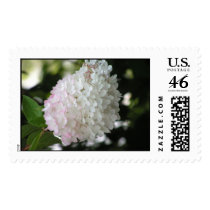 White Flower postage by princssgna White Flower postage