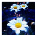 White Flower posters by anamika11 White Flower posters