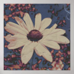 White Flower Poster posters
