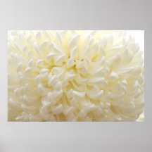 White Flower Print
