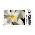 White Flower Spring Event And Wedding stamp