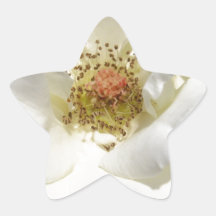 White Flower Star Stickers