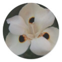 white flower sticker sticker