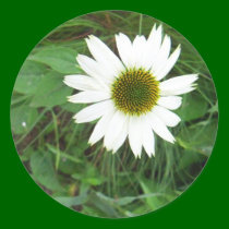 white flower stickers