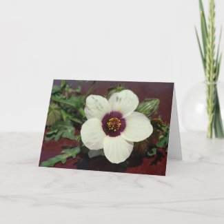 White Flower Still Life card