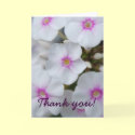White Flower Thank You Card