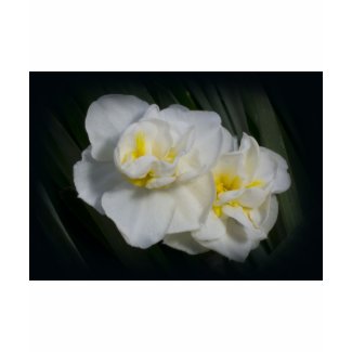 White Flower zazzle_shirt