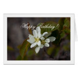 White Flower with Ant; Happy Birthday Card