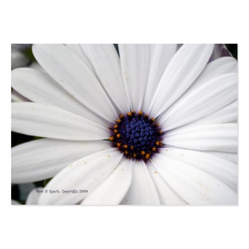 White Flower with Blue Center Business Card