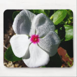 White Flower with Raindrops mousepads