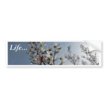 White Flowering Bush On Sun bumper stickers by lifesphere White Flowering Bush On Sun bumper stickers