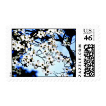White flowering dogwood postage stamp