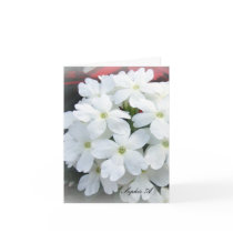 White flowers Card cards