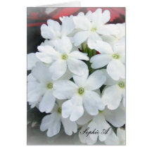 White flowers Card