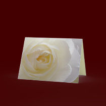 White Flowers Card Rose Flower Greeting Card Blank