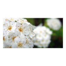 White flowers customized photo card