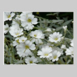 White Flowers From Garden postcards