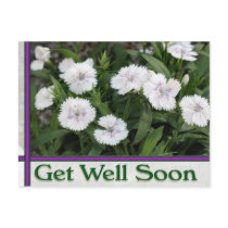 white flowers get well soon postcards