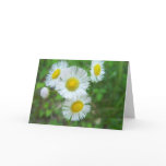 White Flowers Greeting Card - Have a Beautiful Day