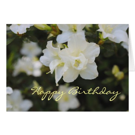 White Flowers Happy Birthday Card Zazzle