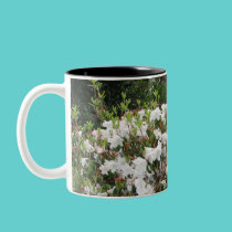White Flowers in Eureka, CA mugs