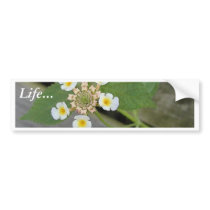 White Flowers Macros Leaves bumper stickers by lifesphere White Flowers Macros Leaves bumper stickers