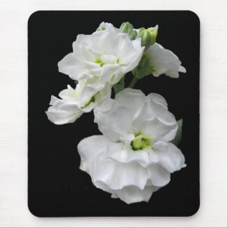 White Flowers Mouse Pad