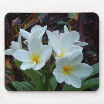 White flowers Mousepad mousepads