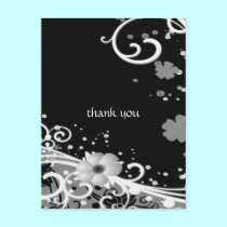 White Flowers on Black postcards