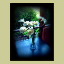 White Flowers on Blue Table posters