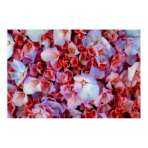 White Flowers (on red, bunch) posters