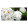 White flowers customized photo card