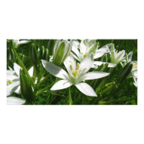 white flowers photo cards by Eyefish white flowers photo cards