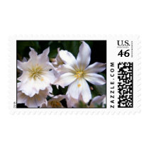 White Flowers Postage Stamp stamps