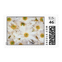 White Flowers Postage Stamps