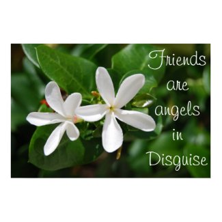 angels-all about angels