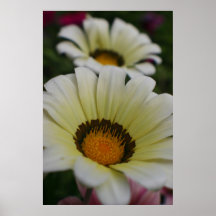 White flowers print