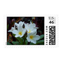 White flowers stamp