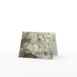 White Flowers Thank You Note Cards 2