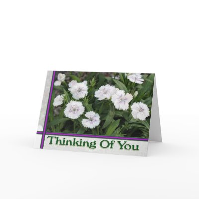 white flowers thinking of you greeting card by DonnaGrayson_Photos