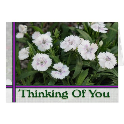 white flowers thinking of you greeting card Zazzle
